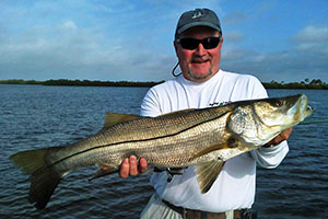 Snook fish